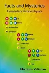 Facts And Mysteries In Elementary Particle Physics cover