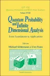 Quantum Probability And Infinite Dimensional Analysis: From Foundations To Appllications cover