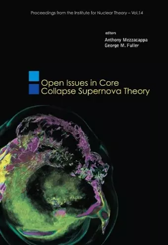 Open Issues In Core Collapse Supernova Theory cover