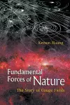 Fundamental Forces Of Nature: The Story Of Gauge Fields cover