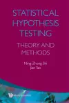 Statistical Hypothesis Testing: Theory And Methods cover