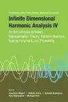 Infinite Dimensional Harmonic Analysis Iv: On The Interplay Between Representation Theory, Random Matrices, Special Functions, And Probability - Proceedings Of The Fourth German-japanese Symposium cover