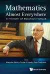 Mathematics Almost Everywhere: In Memory Of Solomon Marcus cover