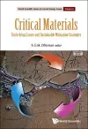 Critical Materials: Underlying Causes And Sustainable Mitigation Strategies cover