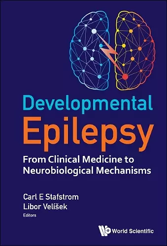 Developmental Epilepsy: From Clinical Medicine To Neurobiological Mechanisms cover