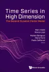 Time Series In High Dimensions: The General Dynamic Factor Model cover