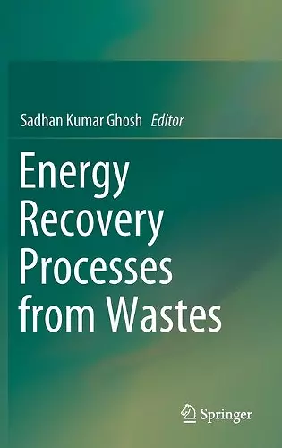 Energy Recovery Processes from Wastes cover