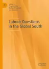 Labour Questions in the Global South cover
