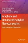 Graphene and Nanoparticles Hybrid Nanocomposites cover