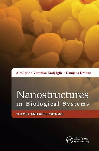 Nanostructures in Biological Systems cover