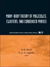 Many-body Theory Of Molecules, Clusters And Condensed Phases cover