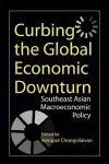 Curbing the Global Economic Downturn cover
