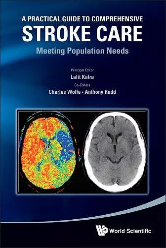 Practical Guide To Comprehensive Stroke Care, A: Meeting Population Needs cover