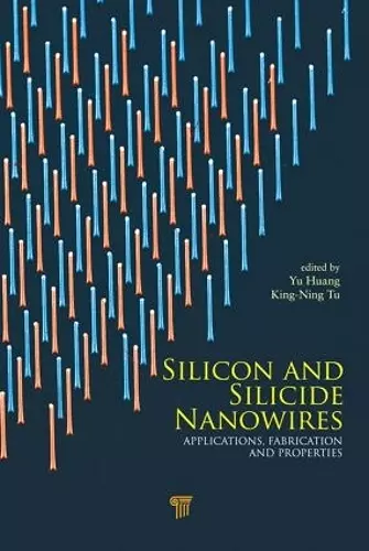 Silicon and Silicide Nanowires cover