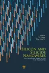 Silicon and Silicide Nanowires cover