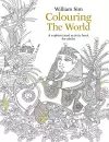 Colouring the World: A Sophisticated Activity Book for Adults cover