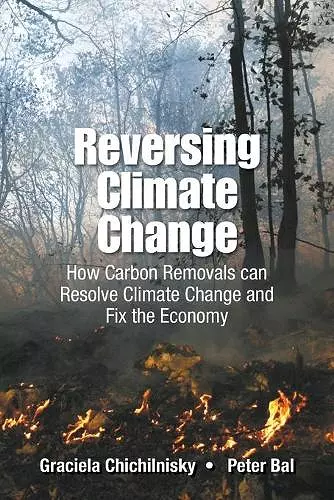 Reversing Climate Change: How Carbon Removals Can Resolve Climate Change And Fix The Economy cover