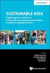 Sustainable Asia: Supporting The Transition To Sustainable Consumption And Production In Asian Developing Countries cover