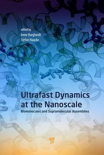 Ultrafast Dynamics at the Nanoscale cover