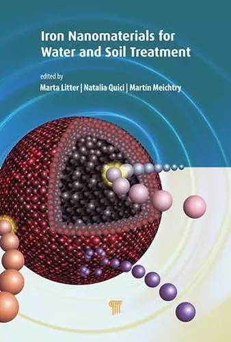 Iron Nanomaterials for Water and Soil Treatment cover