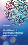 Molecular Dynamics of Nanostructures and Nanoionics cover