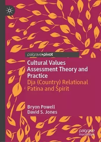 Cultural Values Assessment Theory and Practice cover