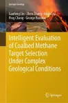Intelligent Evaluation of Coalbed Methane Target Selection Under Complex Geological Conditions cover