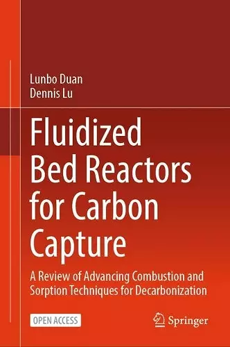 Fluidized Bed Reactors for Carbon Capture cover