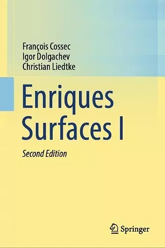 Enriques Surfaces I cover