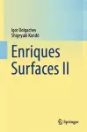 Enriques Surfaces II cover