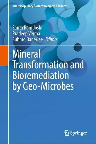 Mineral Transformation and Bioremediation by Geo-Microbes cover
