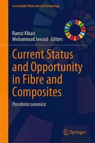 Current Status and Opportunity in Fibre and Composites cover
