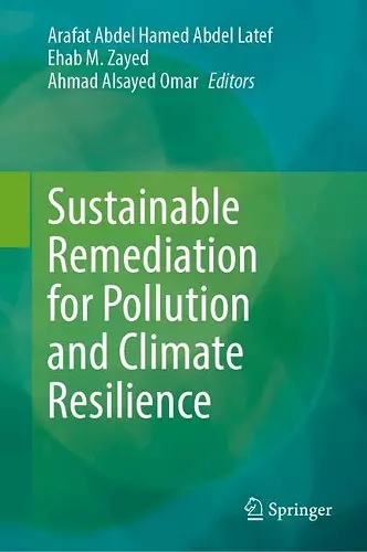 Sustainable Remediation for Pollution and Climate Resilience cover