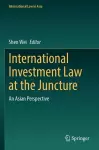 International Investment Law at the Juncture cover