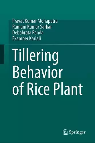 Tillering Behavior of Rice Plant cover