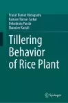 Tillering Behavior of Rice Plant cover