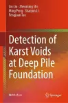 Detection of Karst Voids at Deep Pile Foundation cover