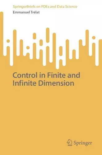 Control in Finite and Infinite Dimension cover