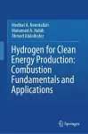 Hydrogen for Clean Energy Production: Combustion Fundamentals and Applications cover