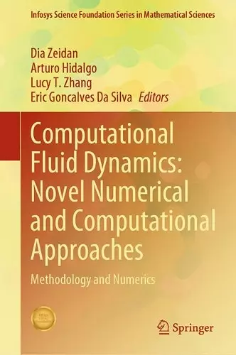 Computational Fluid Dynamics: Novel Numerical and Computational Approaches cover