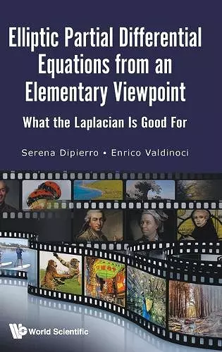 Elliptic Partial Differential Equations From An Elementary Viewpoint: What The Laplacian Is Good For cover