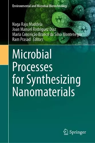 Microbial Processes for Synthesizing Nanomaterials cover