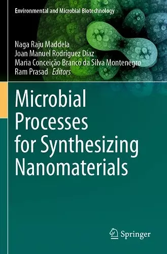Microbial Processes for Synthesizing Nanomaterials cover