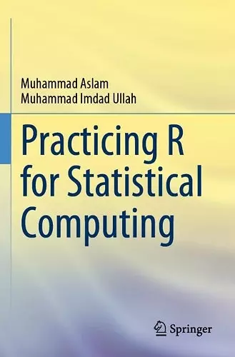 Practicing R for Statistical Computing cover
