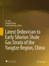 Latest Ordovician to Early Silurian Shale Gas Strata of the Yangtze Region, China cover