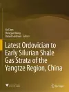 Latest Ordovician to Early Silurian Shale Gas Strata of the Yangtze Region, China cover