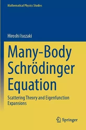 Many-Body Schrödinger Equation cover