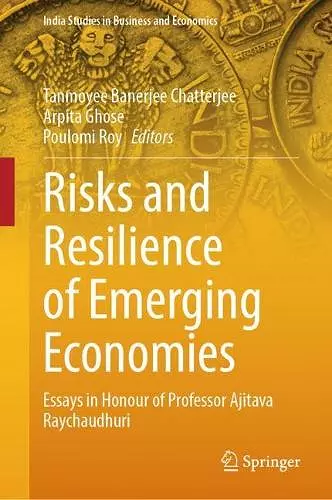 Risks and Resilience of Emerging Economies cover