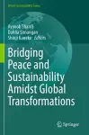 Bridging Peace and Sustainability Amidst Global Transformations cover