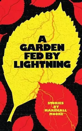 A Garden Fed by Lightning cover